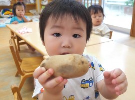 運動会たのしかったよクッキング　れんげ組