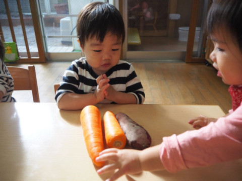 同じ野菜でも、並べてみると違うね。